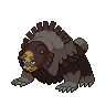 Dark Ursaluna